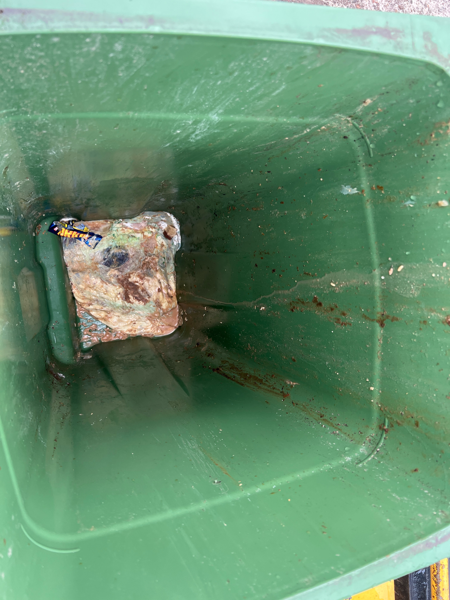 Household wheelie bin before cleaning